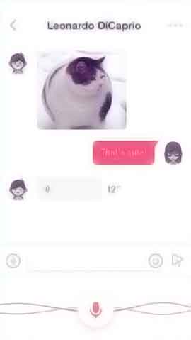 CC在线压力测试软件程序维护界面